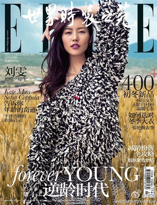 刘雯Liu Wen《Elle》2013年12月中国版