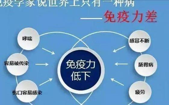 如何提高免疫力 免疫力下降应该吃什么好怎么吃？